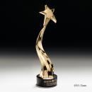 Stallings Shooting Star Metal Trophy