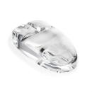 Computer Mouse Paperweight