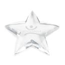 Hagan Star Paperweight