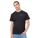 Ten Meteorite Black (896) Ten Meteorite Black (896)