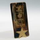 McDaniel Star Glass Trophy