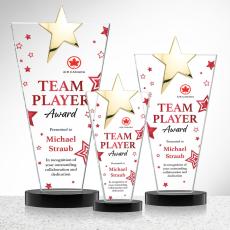 Mantella Gold Star Full Color Black Polygon Crystal Trophy - Star Trophies