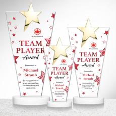 Mantella Gold Star Full Color Fagan Polygon Crystal Trophy - Crystal Star Trophies
