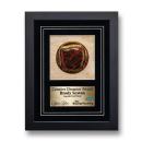 Delong Plaque