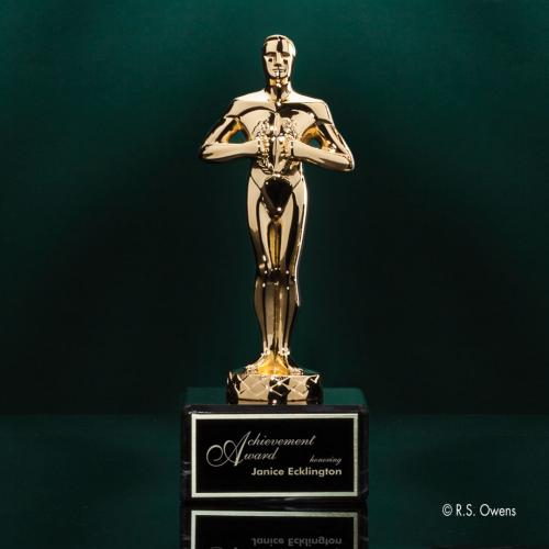 Trophies - Premium Metal Trophies - Classic Achievement Metal on Marble Trophy