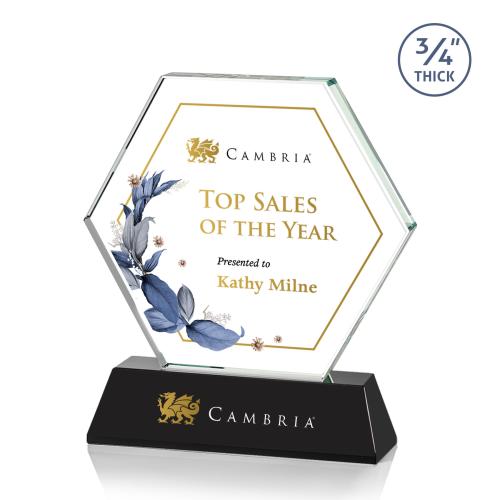 Awards and Plaques - Crystal Trophies - Colvin Full Color Black Crystal Trophy