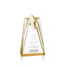 Hammer Star Gold Acrylic Trophy