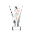 Michaels Full Color Clear Unique Crystal Trophy