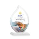 Tomlinson Full Color Fagan Flame Crystal Trophy