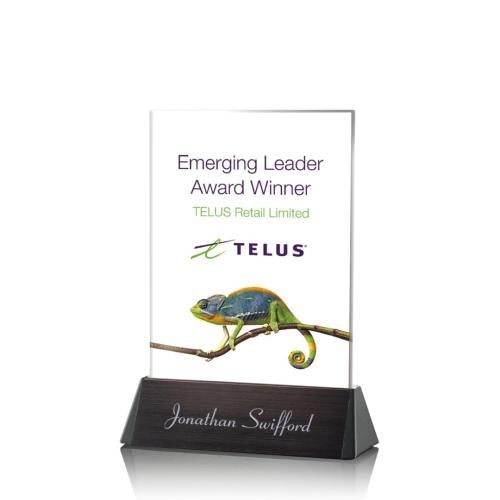 Awards and Plaques - Custom Trophies - Holliday Full Color Rectangle Crystal Trophy
