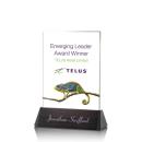 Holliday Full Color Rectangle Crystal Trophy