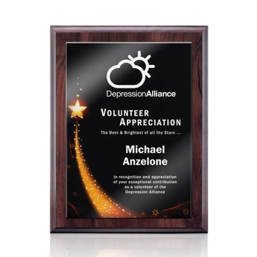 Awards and Plaques - Wall Plaque Awards - Hanson Stark - Cherry Finish