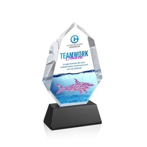 Awards and Plaques - Crystal Trophies - Thomson Full Color on Helton Base Black Polygon Crystal Trophy