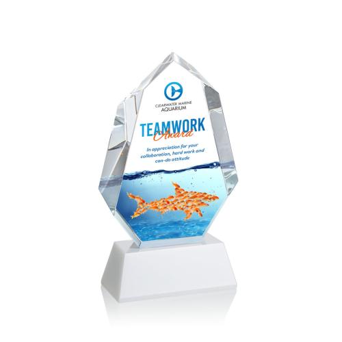 Awards and Plaques - Crystal Trophies - Thomson Full Color on Helton Base Fagan Polygon Crystal Trophy