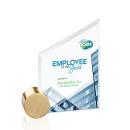 Trevino Full Color  Starfire/Gold Circle Peaks Crystal Trophy