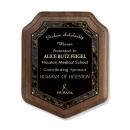 Marble Effect Shield