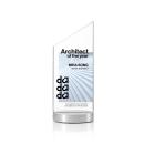 Islington Full Color Peaks Crystal Trophy