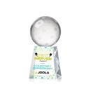 Pickleball Full Color Globe on Medium Crystal Trophy