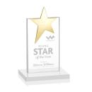 Horton Gold Star Fagan Towers Crystal Trophy
