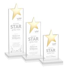 Horton Gold Star Fagan Towers Crystal Trophy - Crystal Trophies