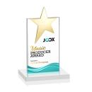 Horton Gold Star Full Color Fagan Towers Crystal Trophy