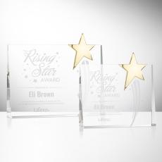 Leonard Gold Star Rectangle Crystal Trophy - Crystal Star Trophies
