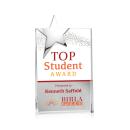 Denham Star Full Color Silver Rectangle Crystal Trophy