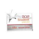 Denham Star Full Color Silver Rectangle Crystal Trophy