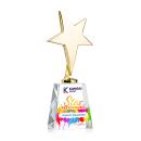 Spicer Gold Star Full Color Metal on Medium Crystal Base-Clear Trophy