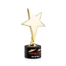 Spicer Gold Star Full Color on Round Base Black Metal Trophy - Trophies