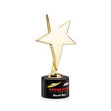 Spicer Gold Star Full Color on Round Base Black Metal Trophy - Star Trophies
