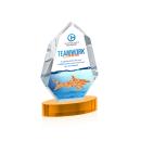 Thomson Full Color on Alberton Base Amber Crystal Trophy
