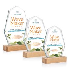 Andale Full Color Polygon Crystal Trophy - Crystal Trophies