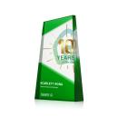 Gutierrez Full Color Green Towers Crystal Trophy