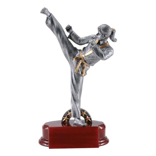 Trophies - Karate Female Resin Figure Trophy