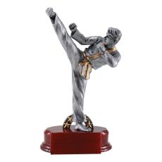 Karate Male Resin Figure Trophy - Trophies