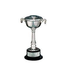 Silver-Plated Pedestal Bowl Cup - Trophies