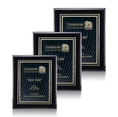 Sunburst Meredith - Wall Plaque Awards