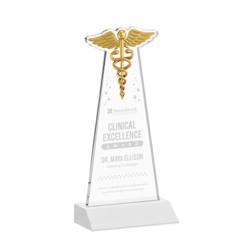 Awards and Plaques - Crystal Trophies - Caduceus Fagan Unique Crystal Trophy