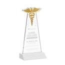 Caduceus Fagan Unique Crystal Trophy