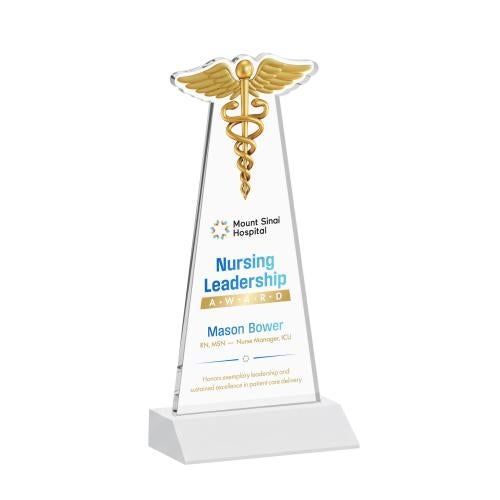 Awards and Plaques - Crystal Trophies - Caduceus Full Color Fagan Unique Crystal Trophy