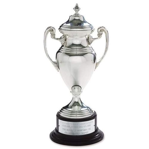 Trophies - Premium Metal Trophies - Silver Cup Metal Trophy