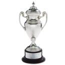 Silver Cup Metal Trophy