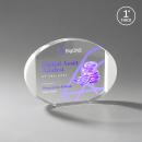 Lehman Full Color Fagan Circle Crystal Trophy