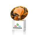 Amber on Cube Full Color Crystal Trophy