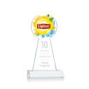 Laidlaw Full Color/Etch Clear Circle Crystal Trophy