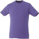 Purple Heather (590)