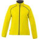 Steel Grey (234), Yellow