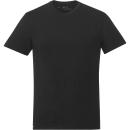 Ten Meteorite Black (896) Ten Meteorite Black (896)