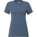 Ten Vintage Blue (863)